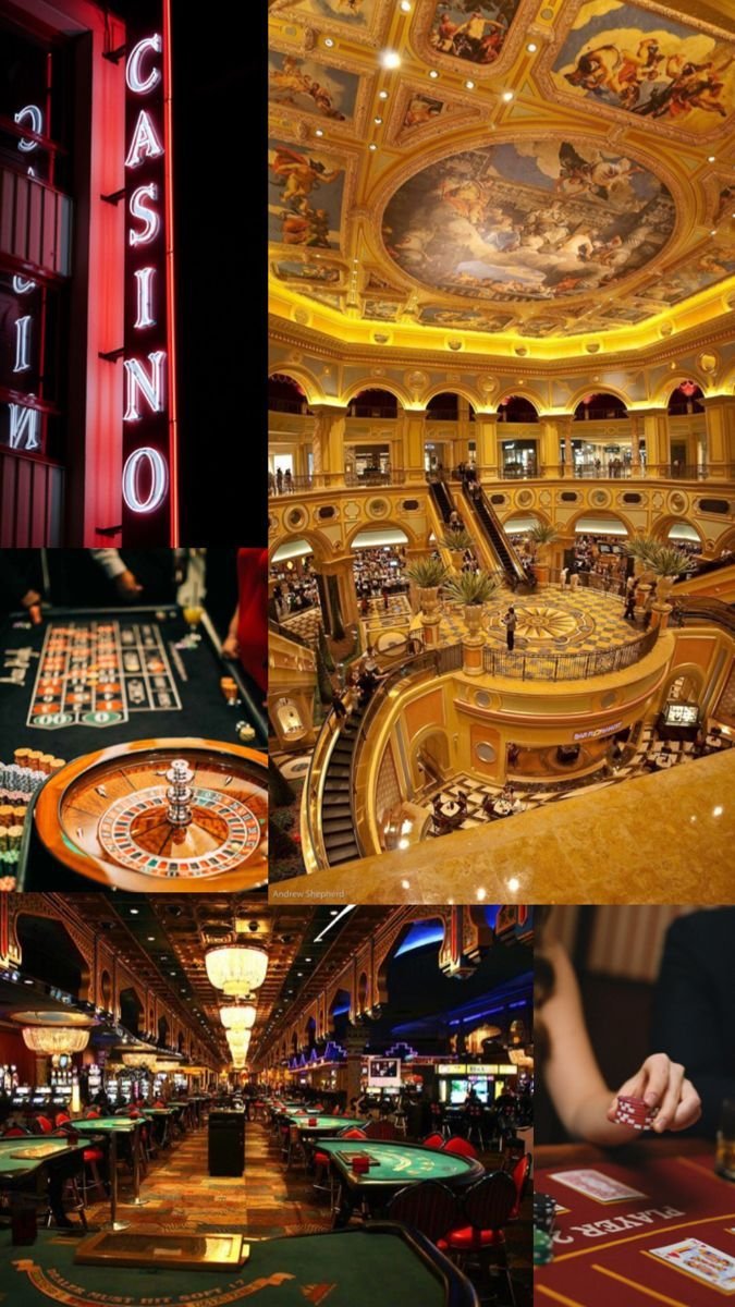 Guida a wild tokyo casino online